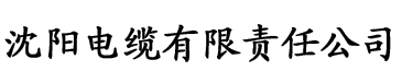 91香蕉视频官电缆厂logo